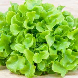 กรีนโอ๊ค (Green Oak)